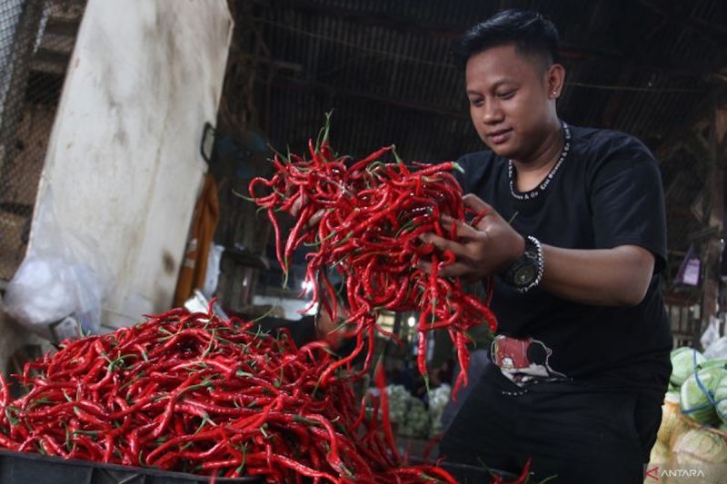 bapanas-harga-cabai-rawit-rp58306kg-bawang-merah-rp42122kg