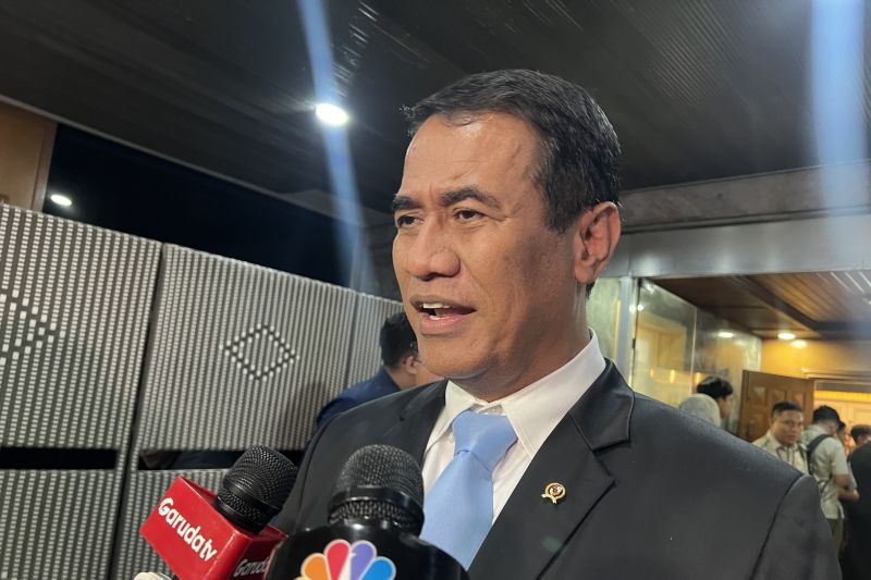 presiden-prabowo-minta-lindungi-petani-dari-impor-singkong-tapioka