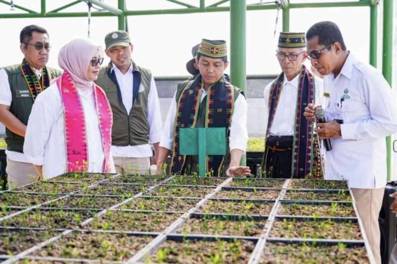 menhut-persemaian-permanen-naikkan-kelestarian-dan-kesejahteraan
