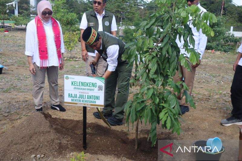 Menhut harap Persemaian Labuan Bajo dukung sektor pariwisata