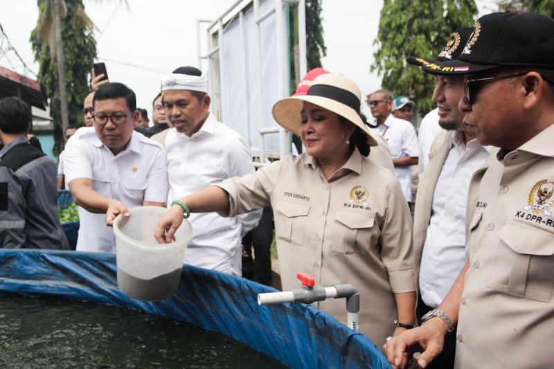titiek-soeharto-dorong-budi-daya-perikanan-terintegrasi-teknologi