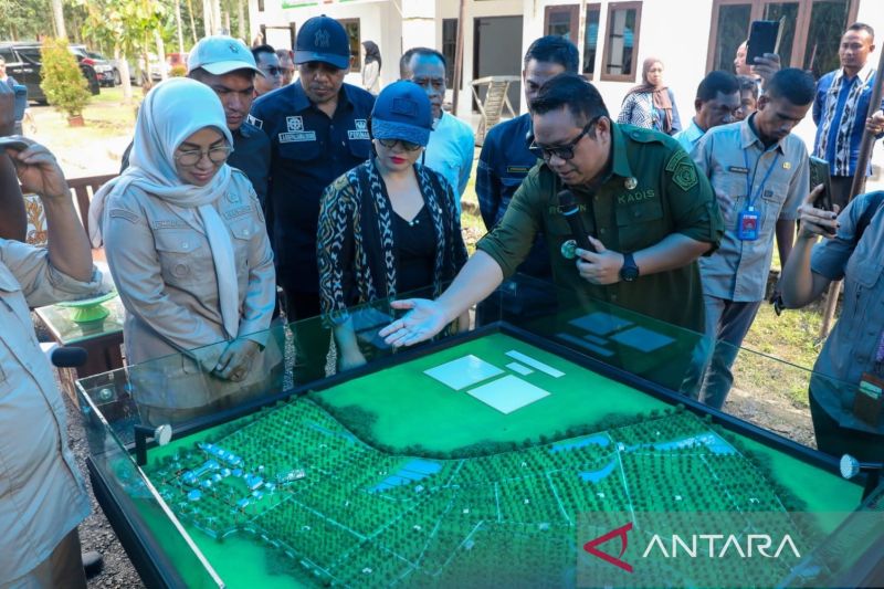 Kemdiktisaintek siapkan pendirian Sekolah Garuda di Sulawesi Tenggara