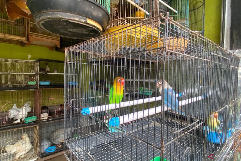 Sosialisasi relokasi pedagang Pasar Barito dilaksanakan pekan ini