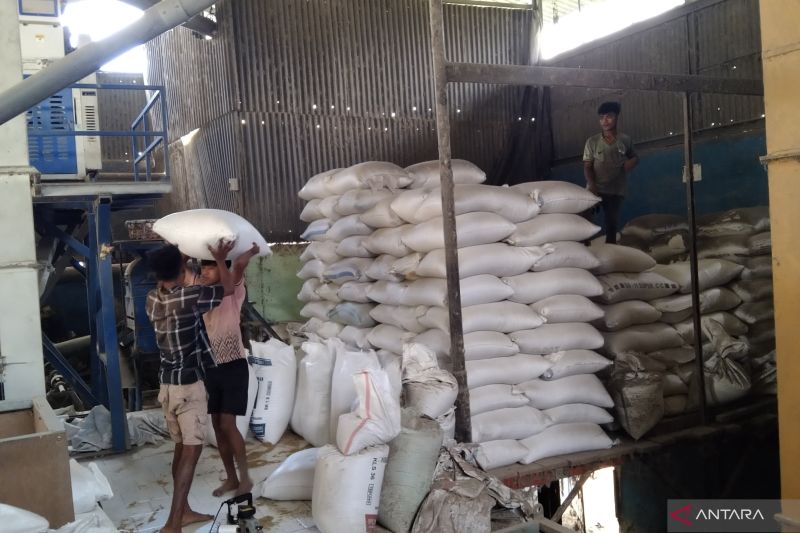 pengamat-sebut-subsidi-biaya-distribusi-tekan-kenaikan-harga-beras