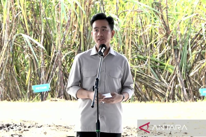wapres-gibran-ingatkan-target-swasembada-gula-konsumsi-tahun-2026