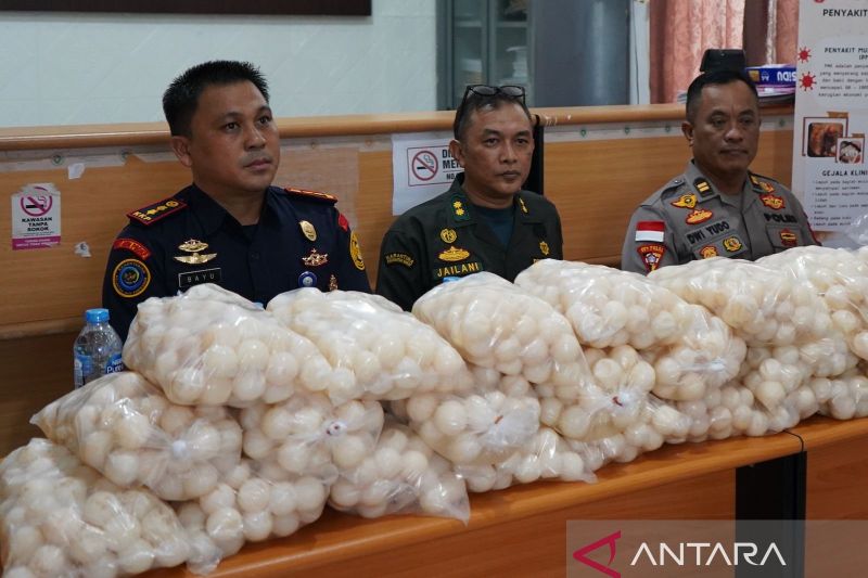 KKP gagalkan penyelundupan ribuan telur penyu di Sambas
