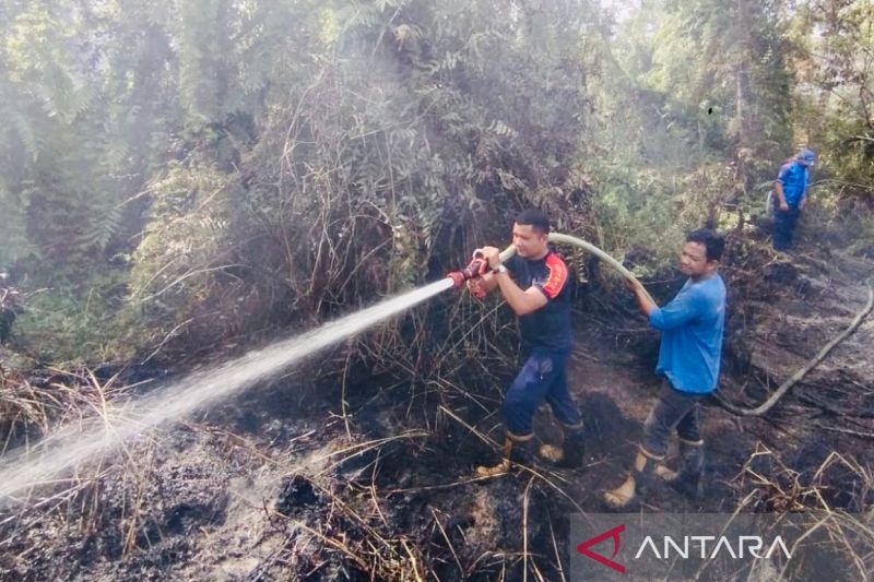 BMKG: Waspada potensi karhutla selama Juli di pantai barat Aceh