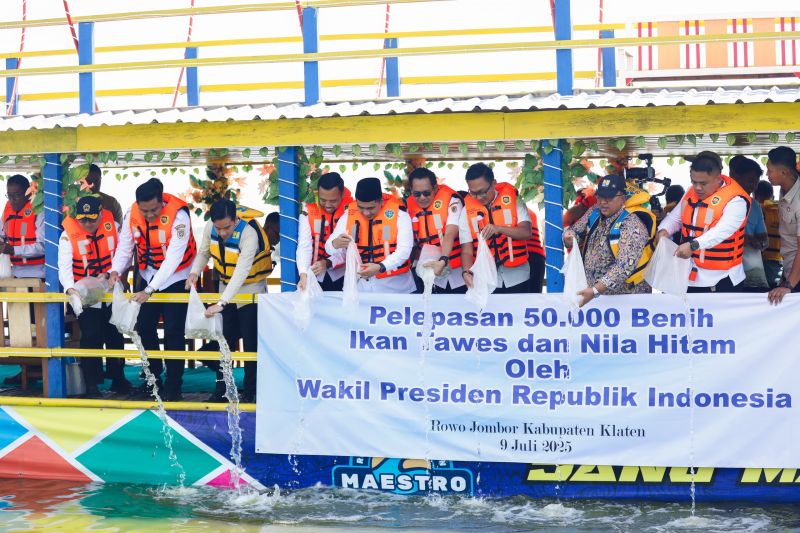 gubernur-jateng-dampingi-wapres-tebar-benih-ikan-di-rowo-jombor