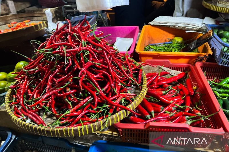 bapanas-harga-cabai-rawit-rp65880kg-bawang-merah-rp42629kg