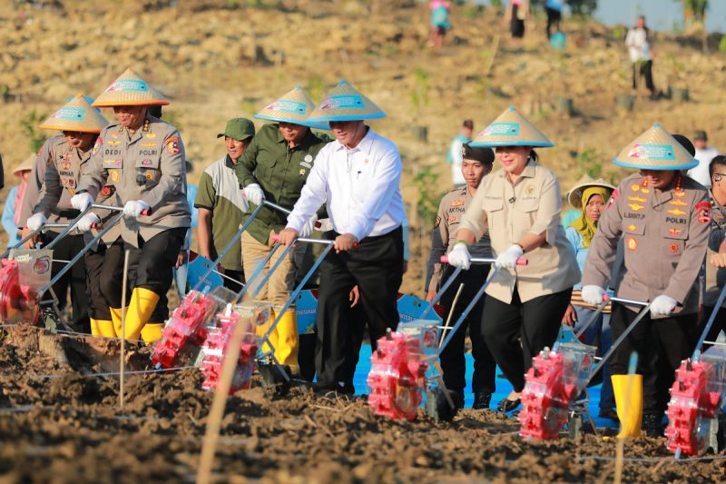 mentan-perkuat-sinergi-bersama-polri-wujudkan-swasembada-jagung