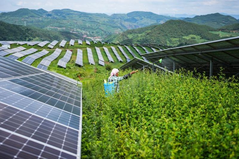 China punya sistem energi terbarukan terbesar, pertumbuhan tercepat