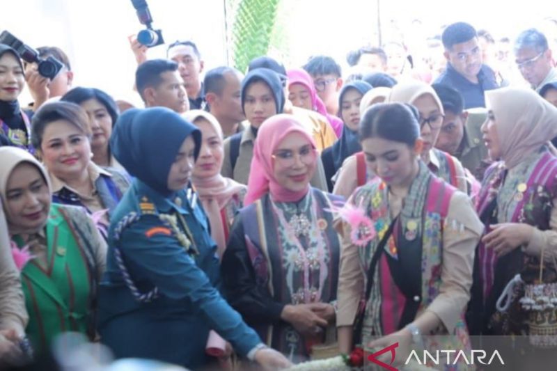 ketua-dekranas-ajak-perajin-manfaatkan-medsos-kembangkan-usaha