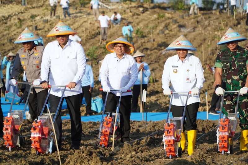 bapanas-optimalikan-hutan-sosial-penting-demi-swasembada-jagung