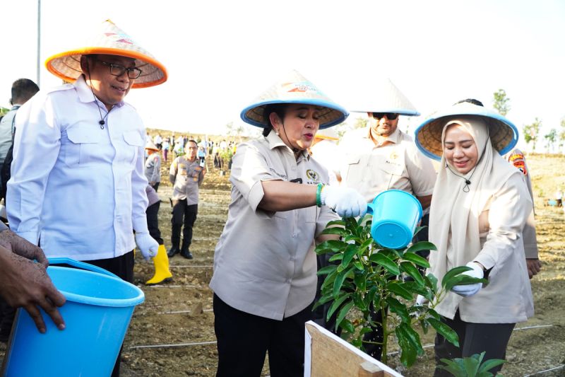 titiek-soeharto-perhutanan-sosial-solusi-swasembada-pangan