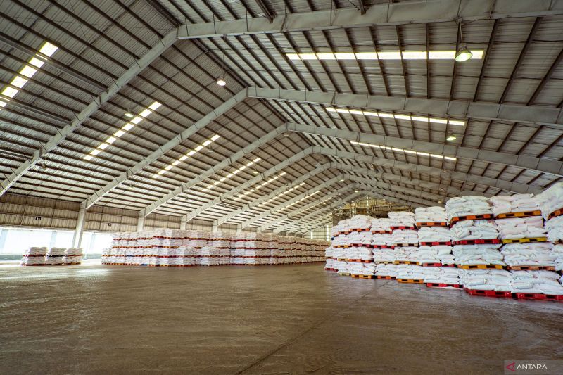 pupuk-kaltim-salurkan-pupuk-subsidi-500484-ton-semester-i-2025