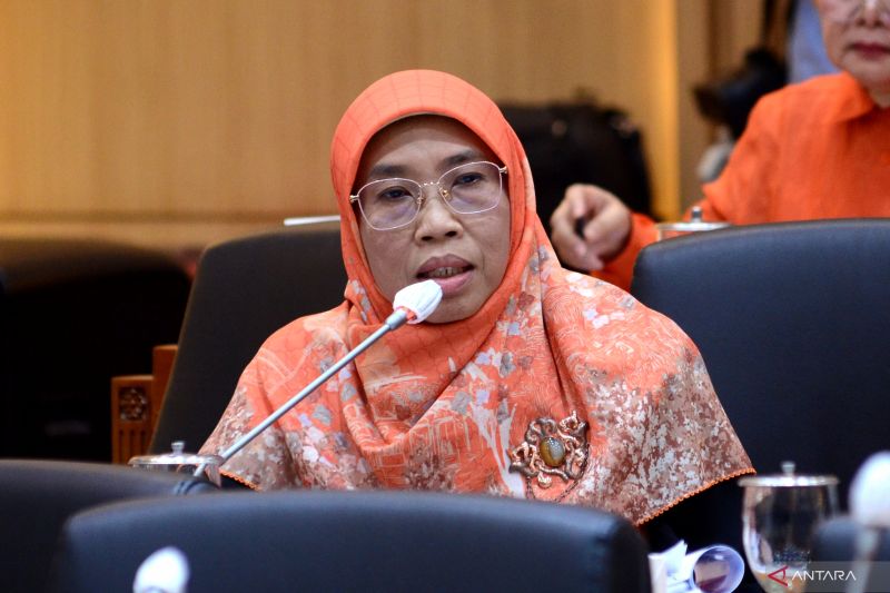 Anggota DPR dukung bansos abadi untuk lansia hingga ODGJ