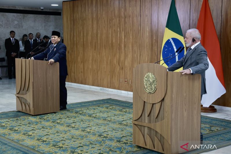 Presiden Prabowo, Presiden Lula dukung Palestina anggota penuh PBB