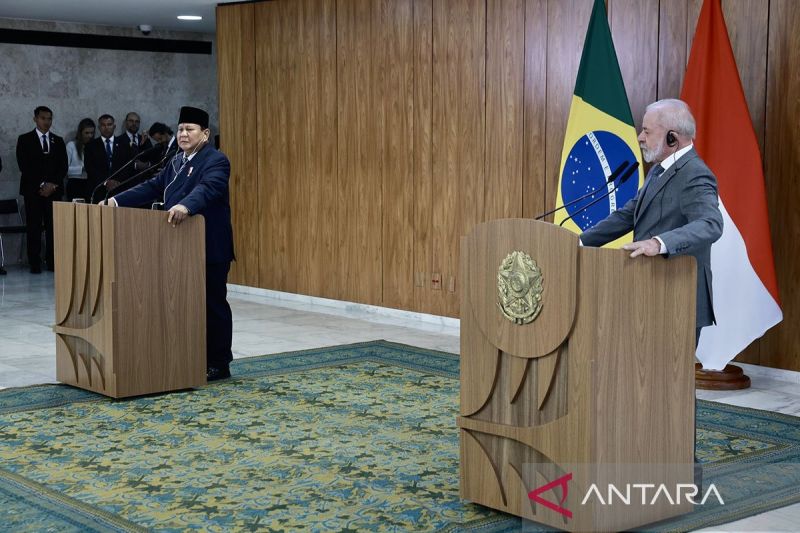 Presiden Prabowo, Presiden Lula dukung Palestina anggota penuh PBB