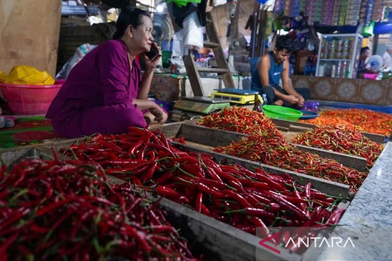 bapanas-harga-cabai-rawit-rp61963kg-bawang-merah-rp43903kg