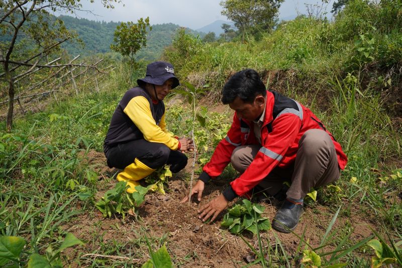 Pupuk Kujang tegaskan komitmen lestarikan lingkungan