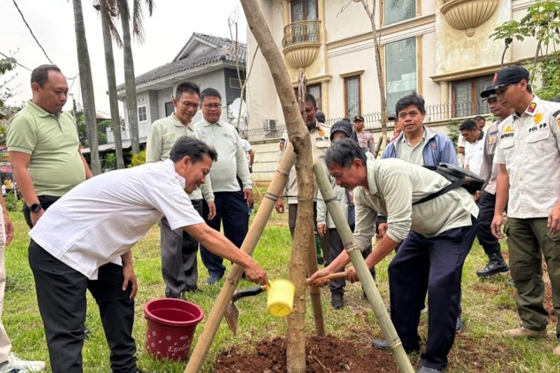 Jakbar kembali tanam pohon di lahan kosong di Kalideres