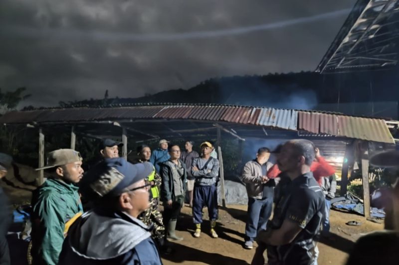 BBTNBBS telusuri pergerakan harimau pemangsa manusia di Lampung Barat