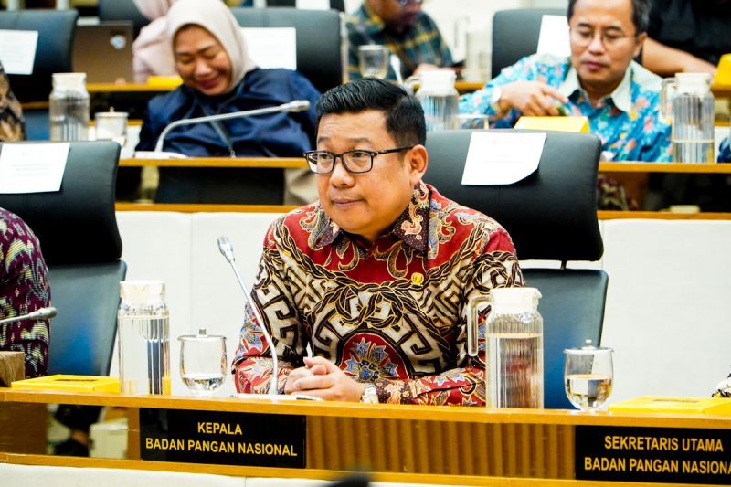 bapanas-usulkan-rp1610-triliun-perkuat-ketahanan-pangan-pada-2026