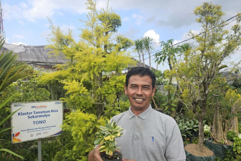Kisah Klaster Usaha Tanaman Hias binaan BRI: Sukses jadi mata pencaharian warga sekitar