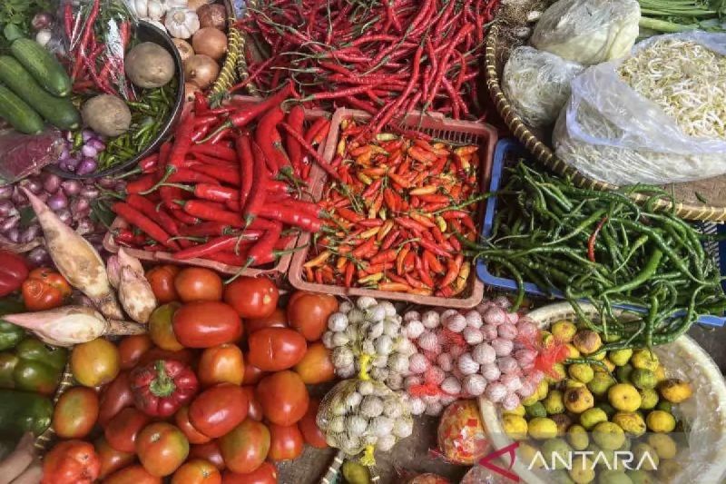 bapanas-harga-cabai-rawit-rp72571kg-bawang-merah-rp39200kg