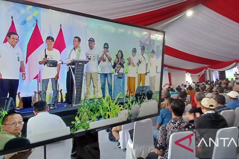 mentan-sebut-tidak-beri-toleransi-bagi-pengecer-pupuk-nakal