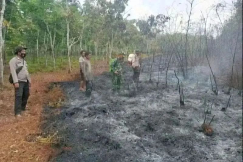 BPBD Sumsel: 10 daerah tetapkan status siaga darurat karhutla