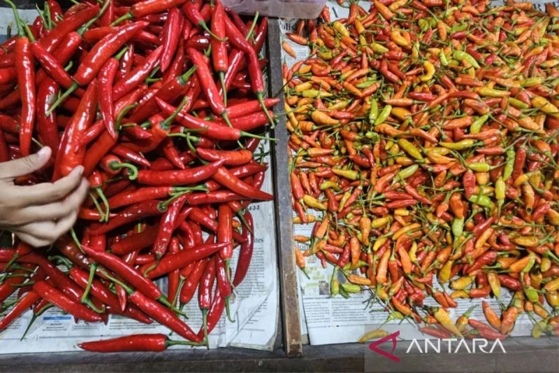 bapanas-harga-cabai-rawit-rp67171kg-bawang-merah-rp40943kg