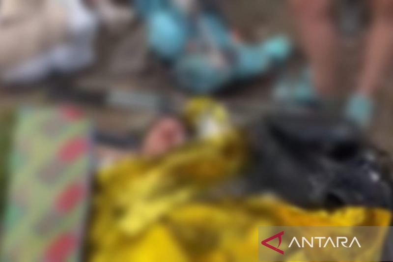 Wisatawan asal Swiss dilaporkan terjatuh di Gunung Rinjani