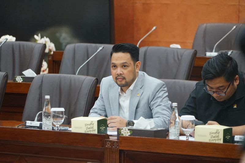 anggota-dpr-dukung-pajak-pedagang-online-asal-tak-bebani-konsumen