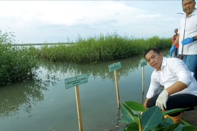 phe-onwj-serahkan-5000-bibit-mangrove-untuk-pesisir-utara-jawa