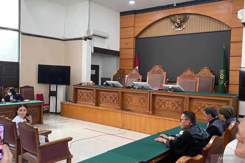 sidang-pemeriksaan-saksi-jpu-kasus-nikita-mirzani-digelar-24-juli