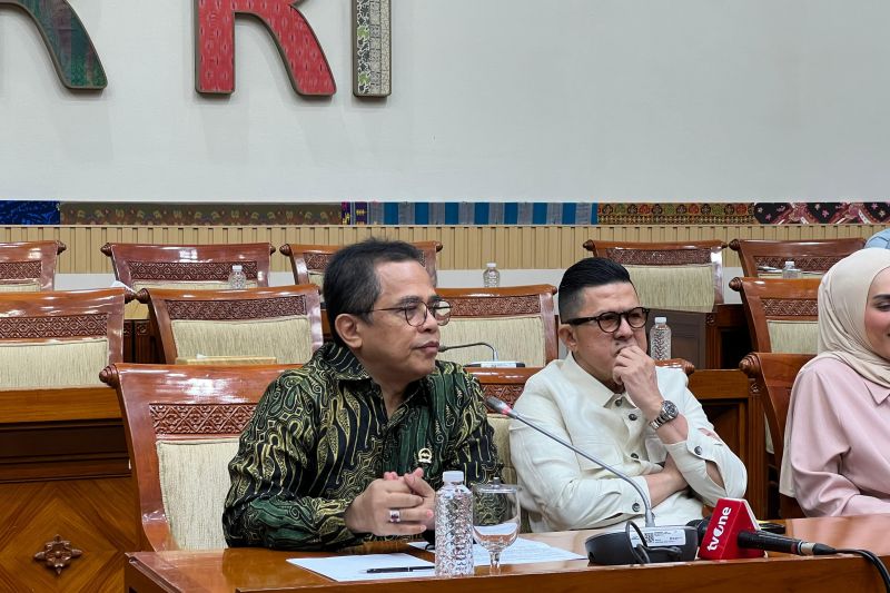 Sekjen DPR jelaskan situs DPR kerap down sehingga draf sulit diakses
