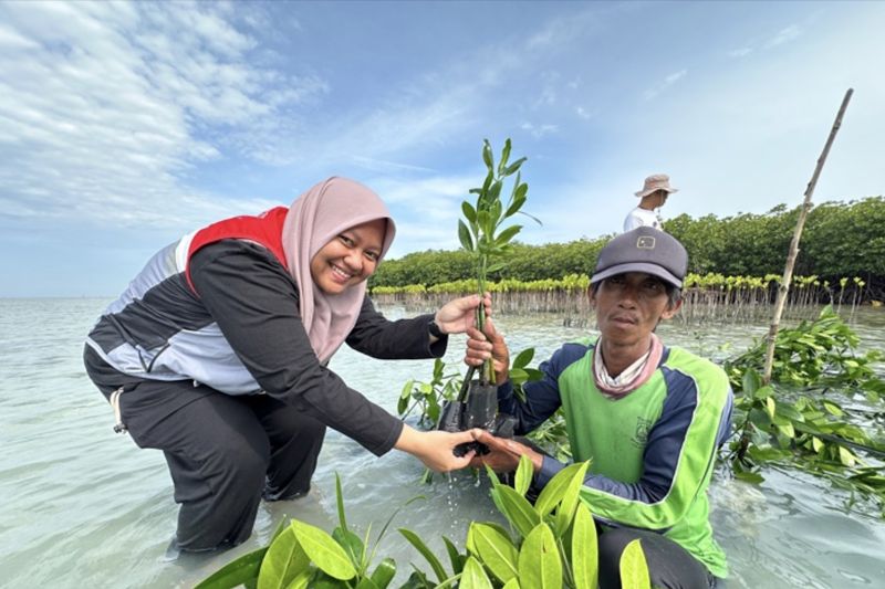 phe-oses-raih-dua-penghargaan-dkj-award-2025