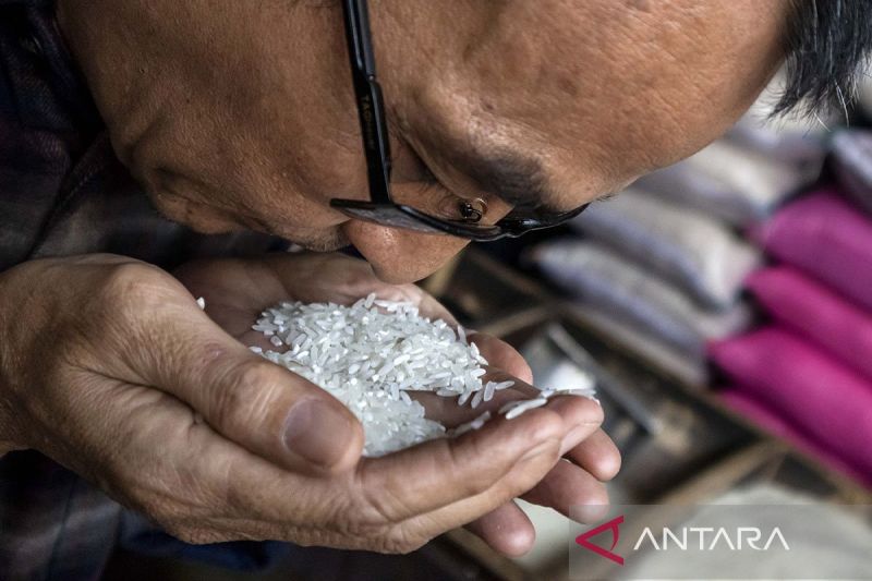patahan-beras-jadi-cara-untuk-bedakan-beras-oplosan-dan-premium