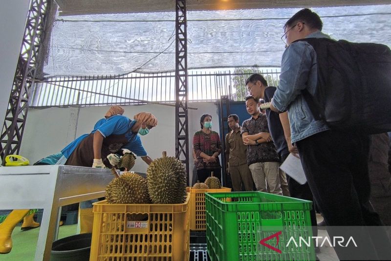 kadin-siap-kolaborasi-wujudkan-100-ribu-hektare-lahan-durian-di-parimo