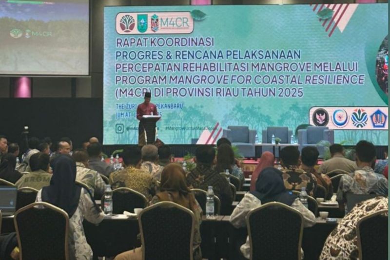 Riau targetkan rehabilitasi mangrove 4.200 Ha pada tahun 2025