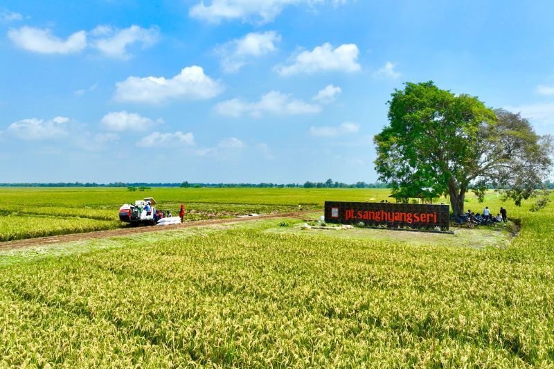 pt-sang-hyang-seri-luncurkan-benih-dasar-dan-aplikasi-agrofarm