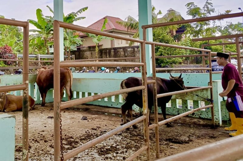 uptd-rph-batam-pastikan-daging-segar-sehat-dan-layak-konsumsi