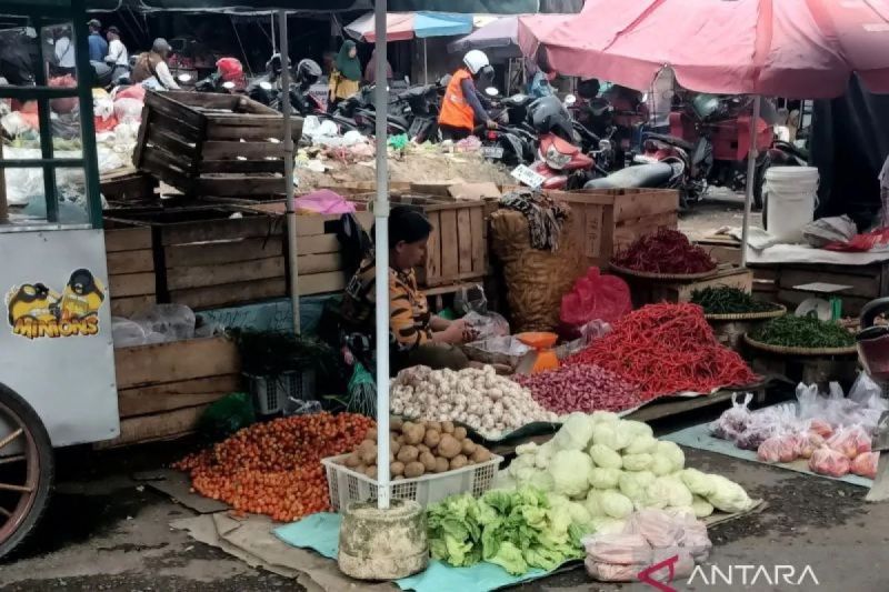 bapanas-harga-cabai-rawit-rp58074kg-bawang-merah-rp44070-kg