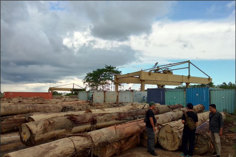 Kemenhut tetapkan lima tersangka kasus peredaran kayu ilegal di Kalbar