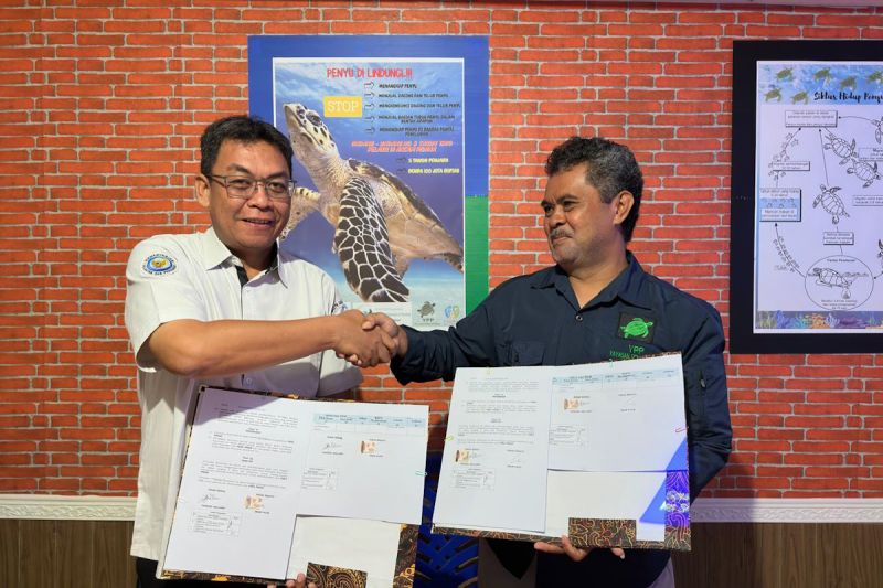 kkp-bangun-sinergi-lindungi-habitat-penyu-di-raja-ampat