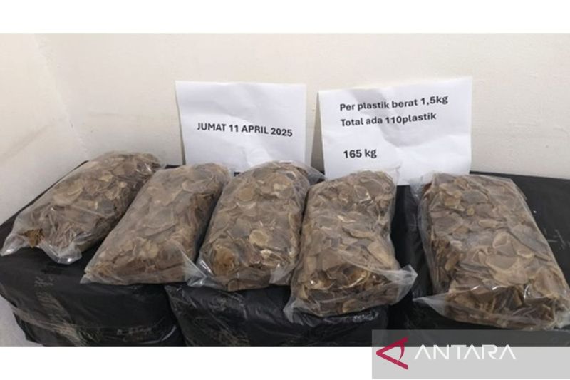 Gakkum Kehutanan tangkap pelaku perdagangan sisik trenggiling