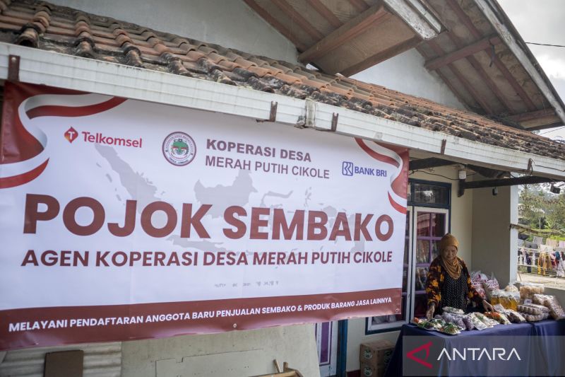 indef-yakin-kopdes-merah-putih-bisa-jadi-lokomotif-pemajuan-ekonomi-ri