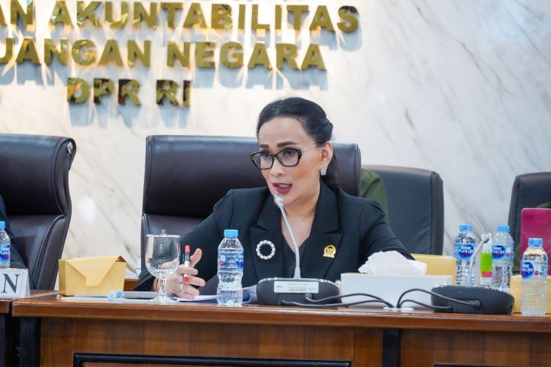 Anggota DPR: Negara tak boleh abaikan hukum demi eks prajurit marinir