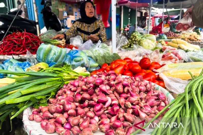 bapanas-harga-cabai-rawit-rp62265kg-bawang-merah-rp45045kg